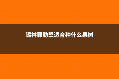 锡林郭勒盟适合养什么花，市花和市树是什么 (锡林郭勒盟适合种什么果树)