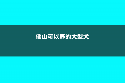 佛山适合养什么花，市花和市树是什么 (佛山可以养的大型犬)