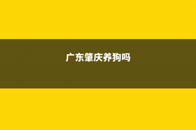 肇庆适合养什么花，市花和市树是什么 (广东肇庆养狗吗)