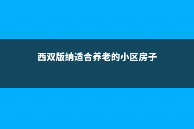 西双版纳适合养什么花，市花和市树是什么 (西双版纳适合养老的小区房子)