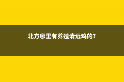 清远适合养什么花，市花和市树是什么 (北方哪里有养殖清远鸡的?)