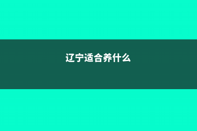 辽阳适合养什么花，市花和市树是什么 (辽宁适合养什么)