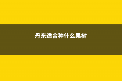 丹东适合养什么花，市花和市树是什么 (丹东适合种什么果树)