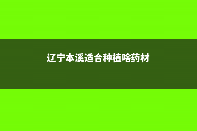 本溪适合养什么花，市花和市树是什么 (辽宁本溪适合种植啥药材)