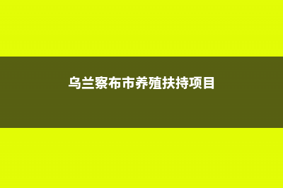 乌兰察布适合养什么花，市花和市树是什么 (乌兰察布市养殖扶持项目)