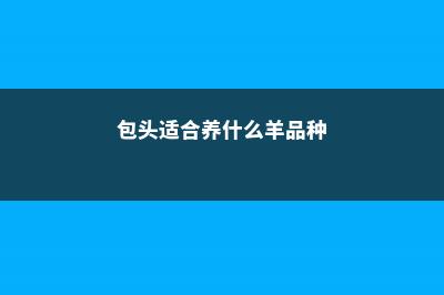 包头适合养什么花，市花和市树是什么 (包头适合养什么羊品种)