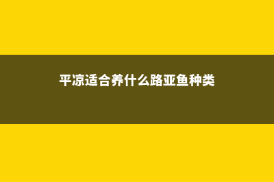 平凉适合养什么花，市花和市树是什么 (平凉适合养什么路亚鱼种类)