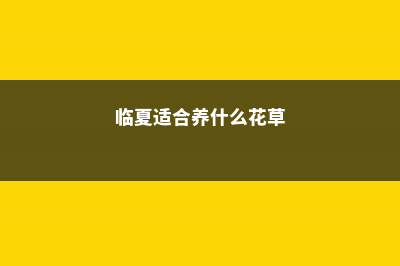 临夏适合养什么花，市花和市树是什么 (临夏适合养什么花草)