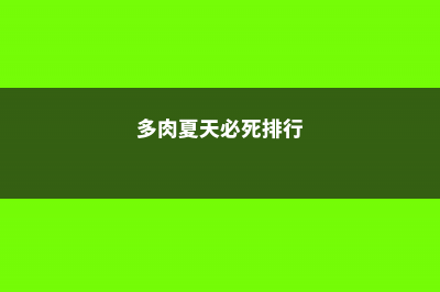 多肉夏必死清单 (多肉夏天必死排行)