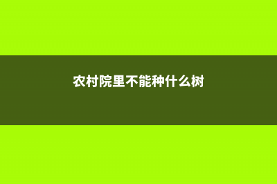 农村庭院不宜种凌霄花的原因 (农村院里不能种什么树)