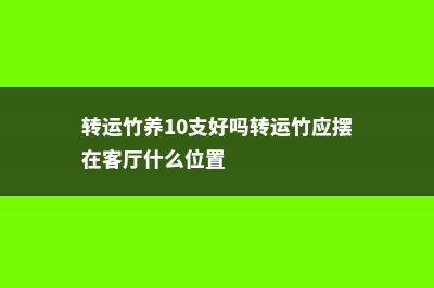 转运竹养10支好吗，转运竹怎么养才能更旺盛 (转运竹养10支好吗转运竹应摆在客厅什么位置)