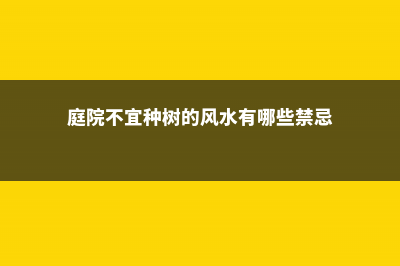 庭院忌讳种什么树 (庭院不宜种树的风水有哪些禁忌)