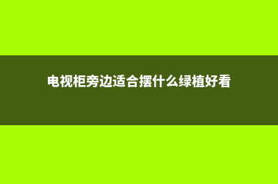 电视柜旁边适合摆什么植物 (电视柜旁边适合摆什么绿植好看)