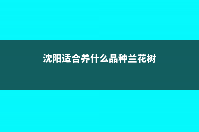 沈阳适合养什么花，市花和市树是什么 (沈阳适合养什么品种兰花树)