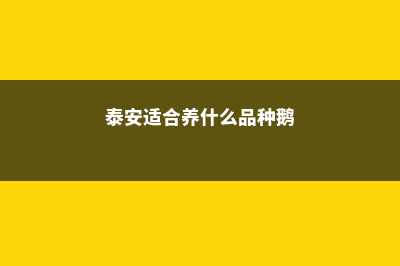 泰安适合养什么花，市花和市树是什么 (泰安适合养什么品种鹅)