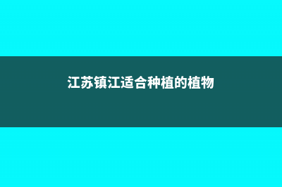 镇江适合养什么花，市花和市树是什么 (江苏镇江适合种植的植物)