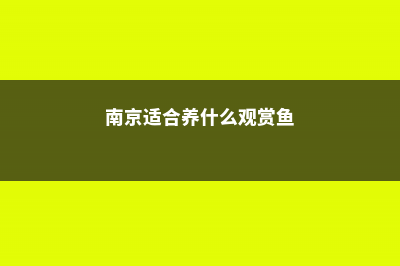 南京适合养什么花，市花和市树是什么 (南京适合养什么观赏鱼)