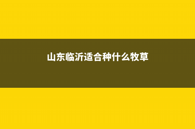 临沂适合养什么花，市花和市树是什么 (山东临沂适合种什么牧草)