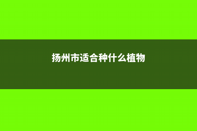 扬州适合养什么花，市花和市树是什么 (扬州市适合种什么植物)