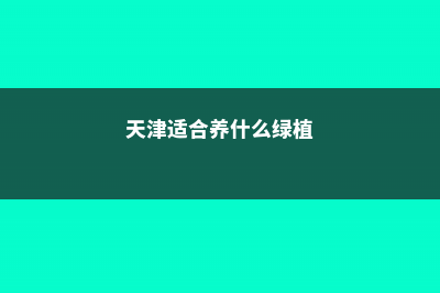 天津适合养什么花，市花和市树是什么 (天津适合养什么绿植)