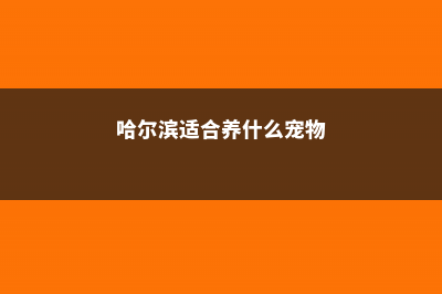 哈尔滨适合养什么花 (哈尔滨适合养什么宠物)