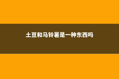 马铃薯是土豆还是红薯，两者的特征 (土豆和马铃薯是一种东西吗)