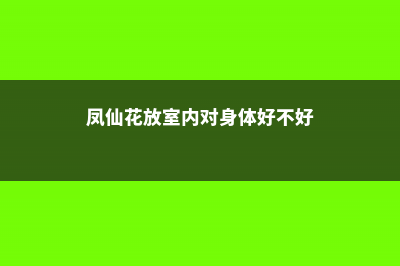 凤仙花养在家里好吗，养不活是怎么回事 (凤仙花放室内对身体好不好)