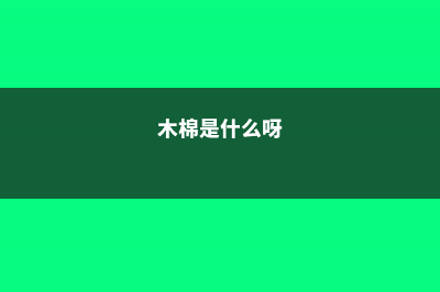 木棉是什么，是花还是树 (木棉是什么呀)