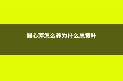 圆心萍怎么养，怎么才能繁殖得快 (圆心萍怎么养为什么总黄叶)