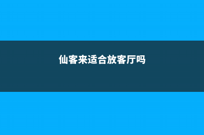 仙客来放在什么地方好，放卧室好不好 (仙客来适合放客厅吗)