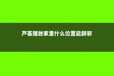 芦荟摆放家里禁忌，放在哪里风水好 (芦荟摆放家里什么位置能辟邪)