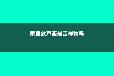 家里放芦荟是吉是凶，放在什么地方吉利 (家里放芦荟是吉祥物吗)