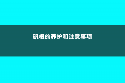 矾根怎么养，矾根图片 (矾根的养护和注意事项)