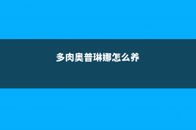 多肉奥普琳娜能长多大 (多肉奥普琳娜怎么养)