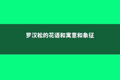 罗汉松的花语和寓意，有什么传说故事 (罗汉松的花语和寓意和象征)