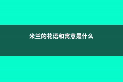 米兰的花语和寓意，有什么传说故事 (米兰的花语和寓意是什么)