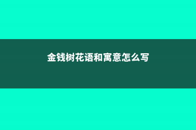 金钱树的花语和寓意，适合送给什么人 (金钱树花语和寓意怎么写)