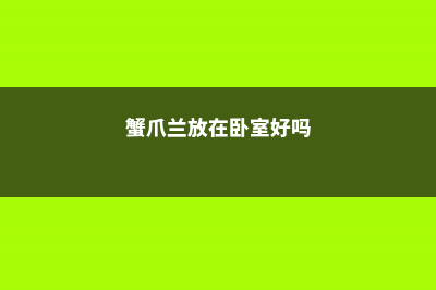 蟹爪兰放在卧室有毒吗，放在什么位置好 (蟹爪兰放在卧室好吗)