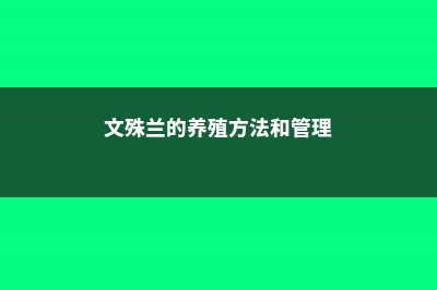 文殊兰的养殖方法和注意事项 (文殊兰的养殖方法和管理)