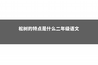 松树的特点是什么，怎么种植 (松树的特点是什么二年级语文)