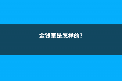 金钱草的介绍，金钱草可以吃吗 (金钱草是怎样的?)