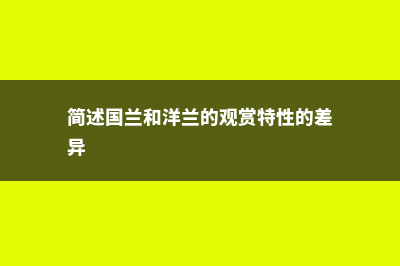 国兰与洋兰的区别 (简述国兰和洋兰的观赏特性的差异)