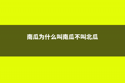 南瓜为什么叫南瓜，吃南瓜有什么好处 (南瓜为什么叫南瓜不叫北瓜)