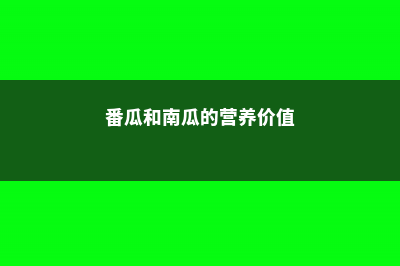 番瓜和南瓜一样吗，有什么区别 (番瓜和南瓜的营养价值)