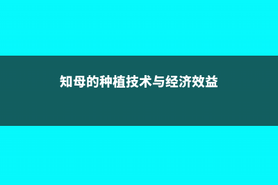 知母的养殖方法和注意事项 (知母的种植技术与经济效益)