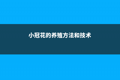 小冠花的养殖方法和注意事项 (小冠花的养殖方法和技术)