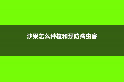 沙果的养殖方法和注意事项 (沙果怎么种植和预防病虫害)