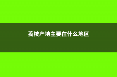 荔枝产地主要在哪个省，吃多了会怎样 (荔枝产地主要在什么地区)