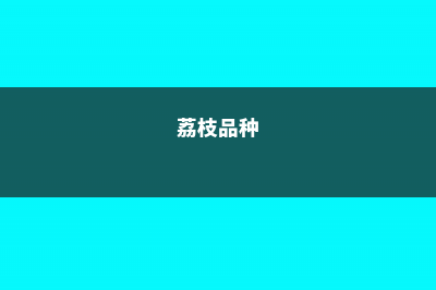 荔枝什么时候成熟，几月份上市 (荔枝品种)