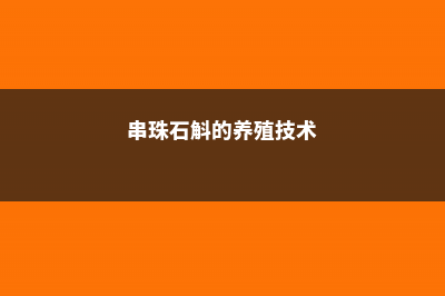 串珠石斛的养殖方法和注意事项 (串珠石斛的养殖技术)